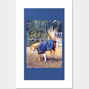 American Paint Horse Posters and Art